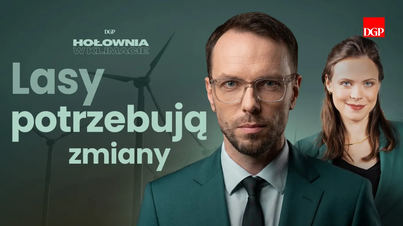 Lasy Państwowe to państwo w państwie? Marek Józefiak: "Brakuje realnej kontroli"[HOŁOWNIA W KLIMACIE #30]