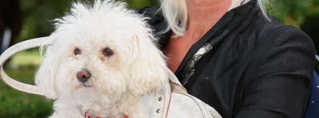 Sprawa przesyłki marihuany dla psa piosenkarki Olgi J. do umorzenia. Trudno udowodnić adresatowi, że zamawiał...