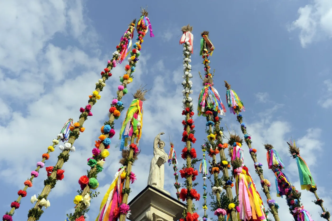 Konkurs w Lipnicy Murowanej rozstrzygnięty. Najwyższa palma - ponad 32 m wysokości