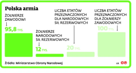 2194946-polska-armia.jpg