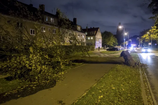Tragiczne skutki wichur nad Polską: Dwie osoby nie żyją, tysiące ludzi bez prądu, wiele zniszczeń