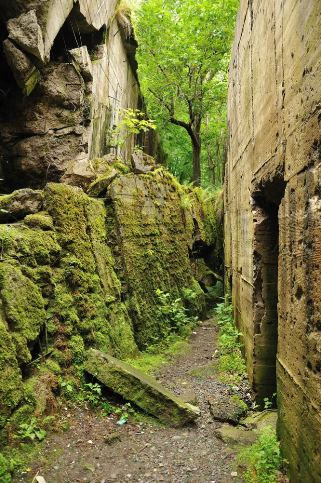 Dzierżawca nadal nie wydał "Wilczego Szańca". Zapowiada się długa batalia o nieruchomość w Gierłoży