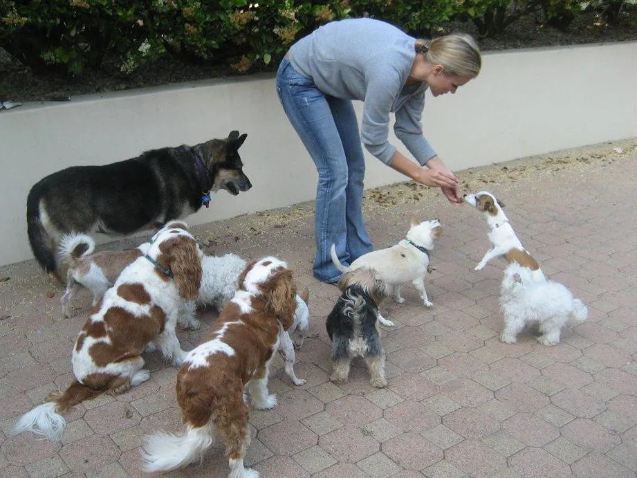 Joanna ze swoimi pupilami/Archiwum prywatne