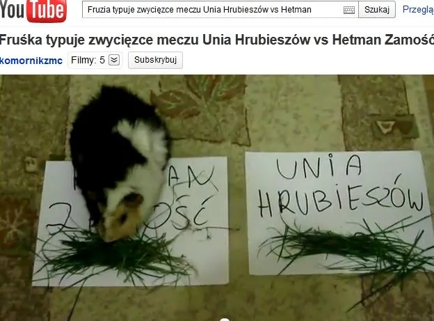 Oto polska odpowiedź na słynną ośmiornicę