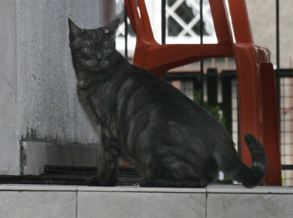 Jarosław Kaczyński w żałobie. Stracił jednego z najlepszych przyjaciół