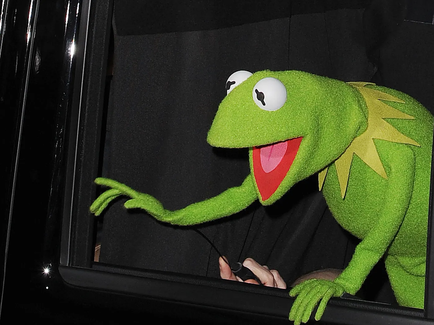 2728827-kermit.jpg