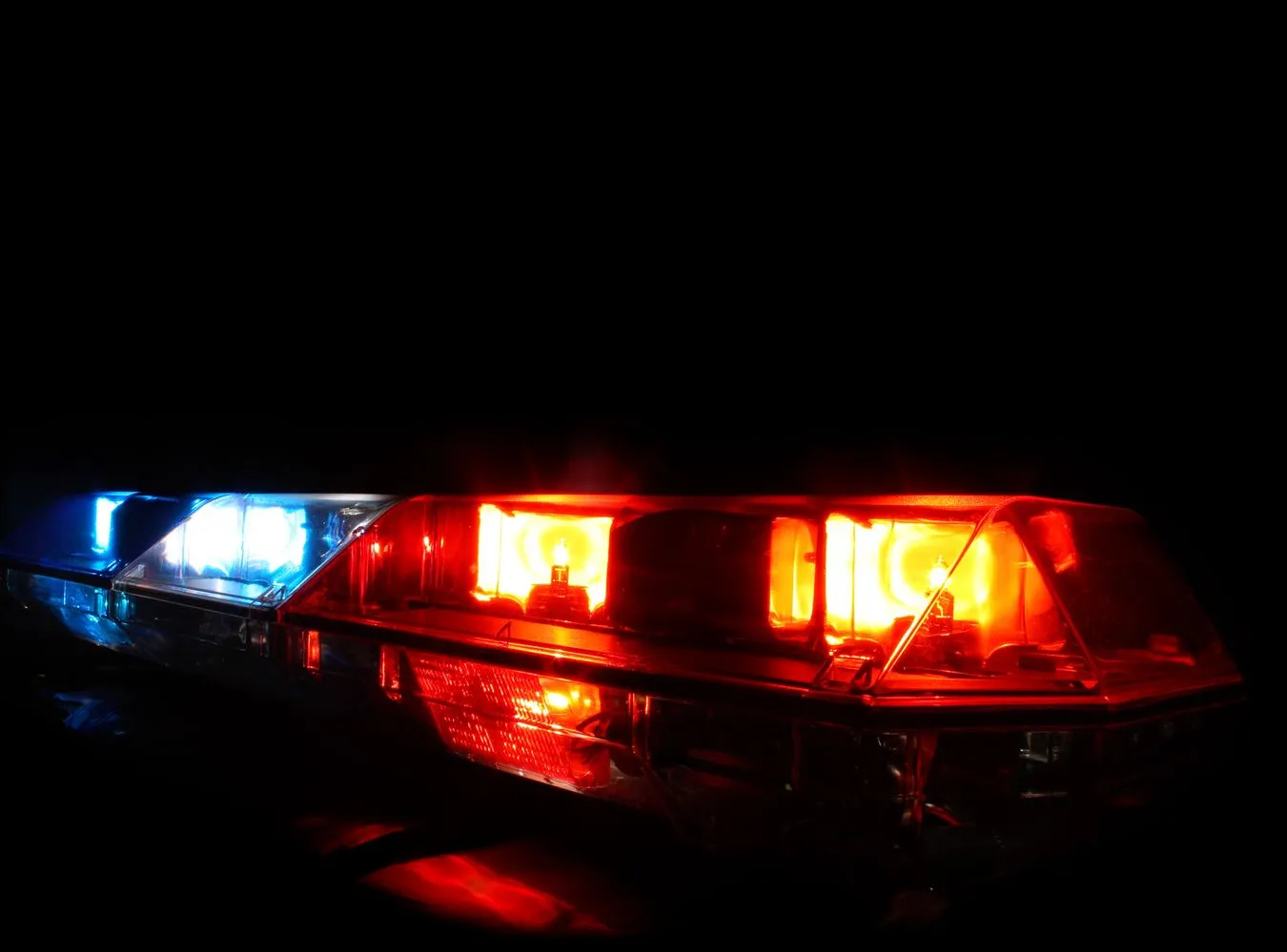 Dzielny pies uratował życie malutkiemu chłopcu