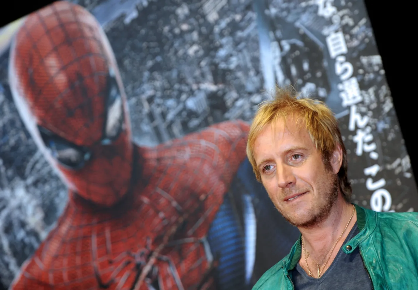 3647625-rhys-ifans-na-premierze-niesamowitego.jpg