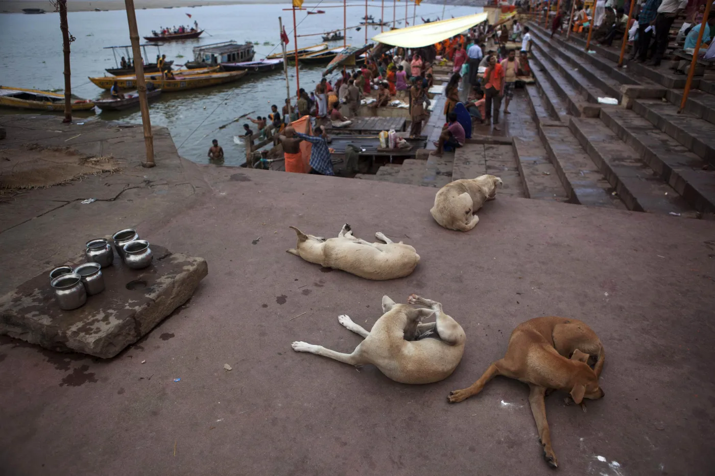 3768413-waranasi.jpg