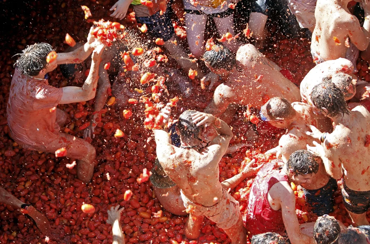 3957472-tomatina.jpg