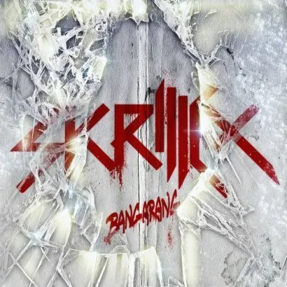 4454852-skrillex.jpg