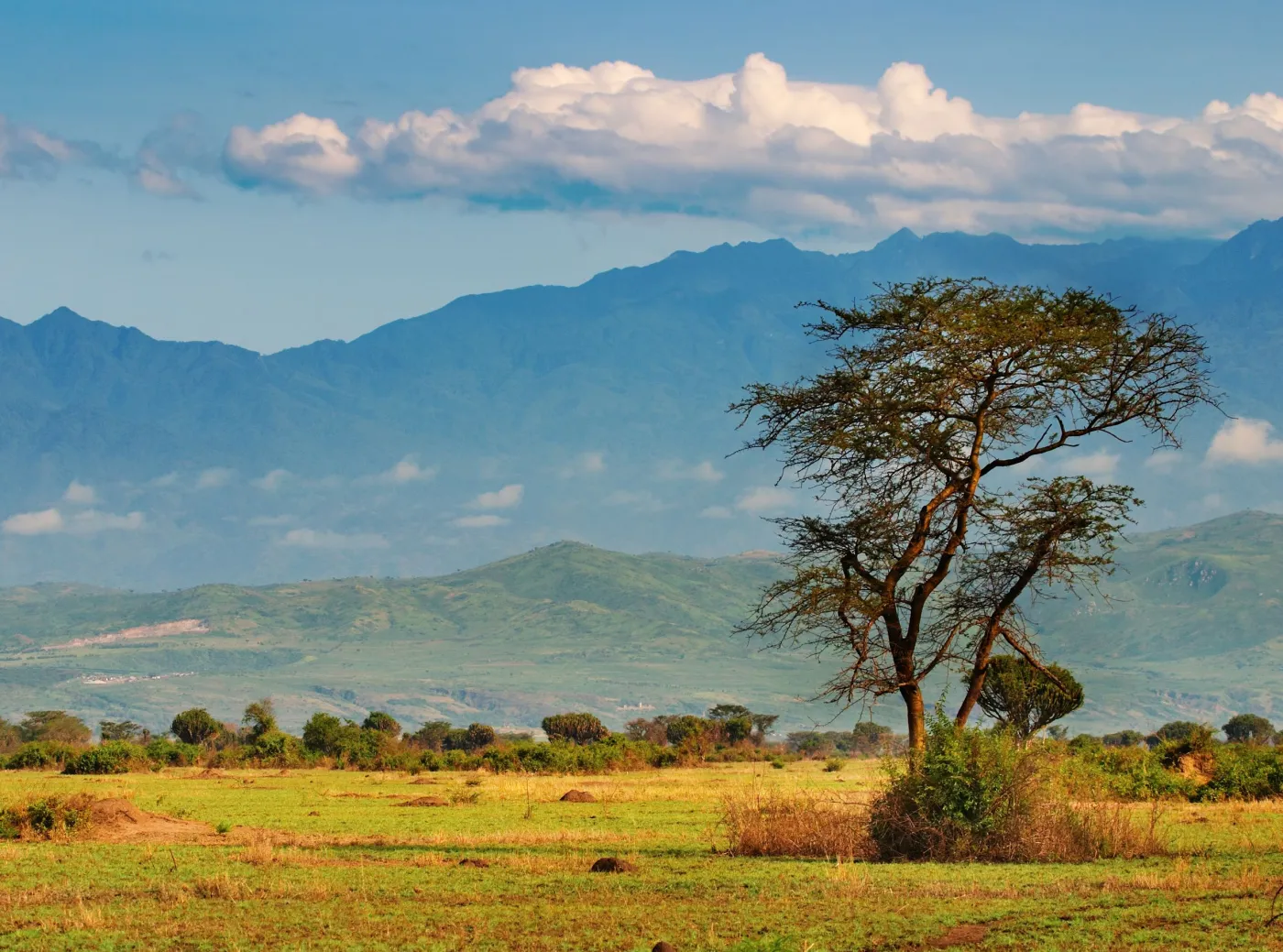 Polski podróżnik wraca do Europy. Pomogła mu międzynarodowa afera