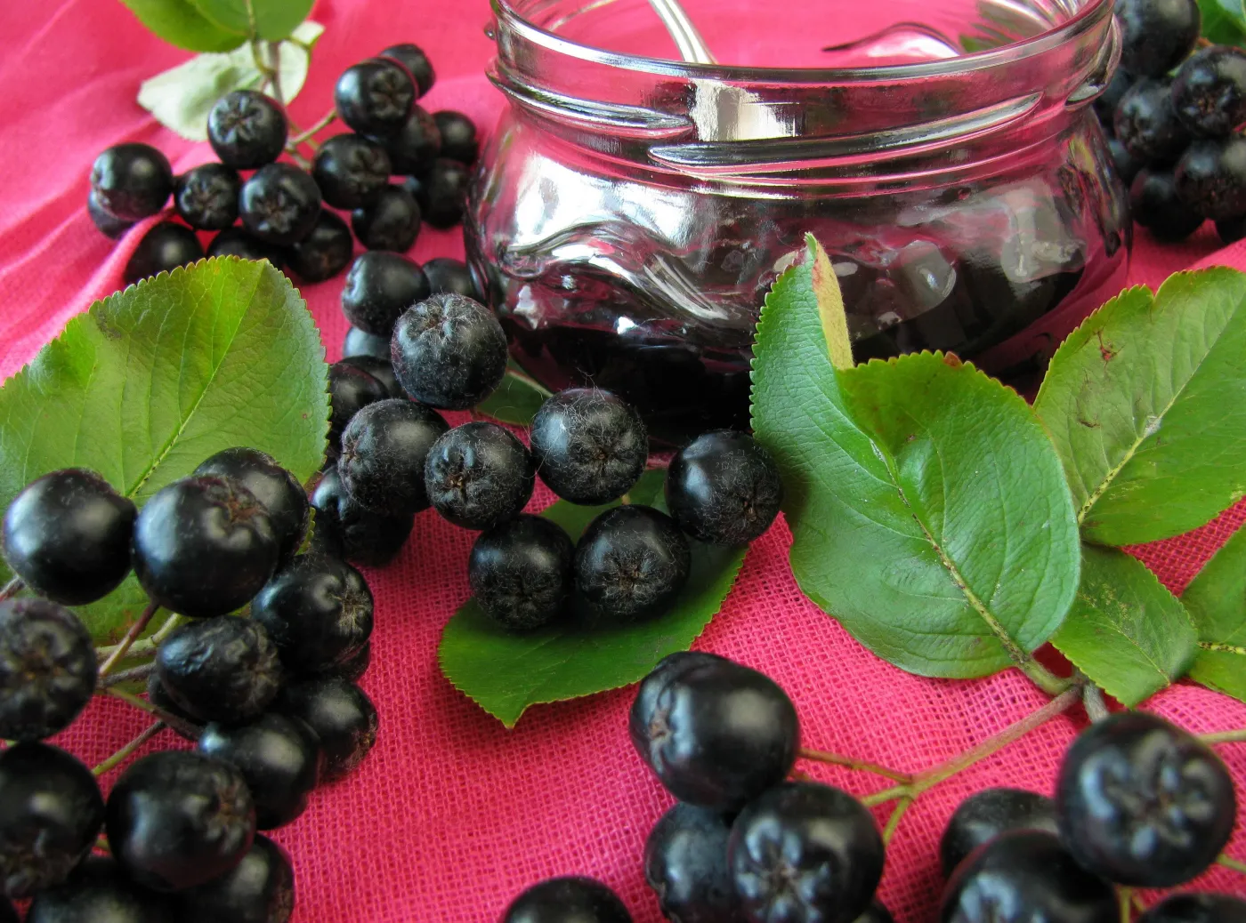 Aronia