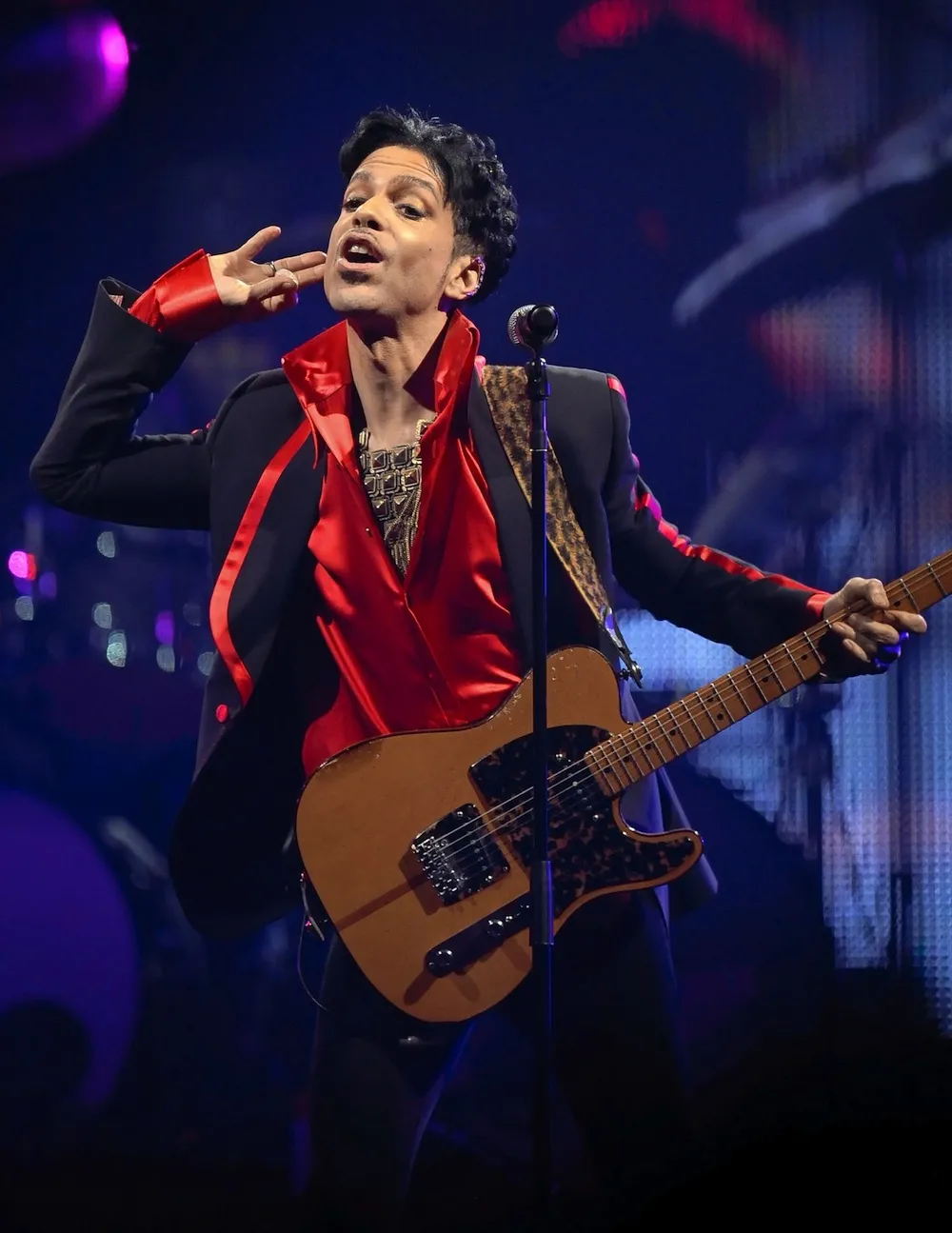 4551533-prince.jpg