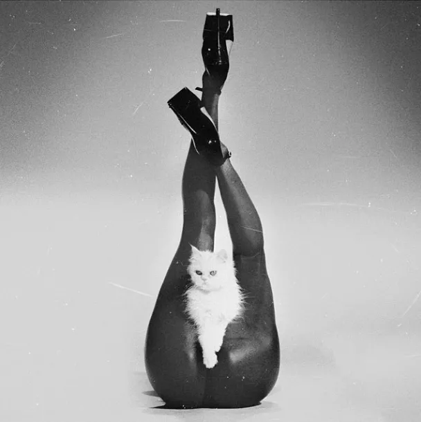 Piękna i seksowana Estelle chce znów być numerem jeden [ZDJĘCIA]