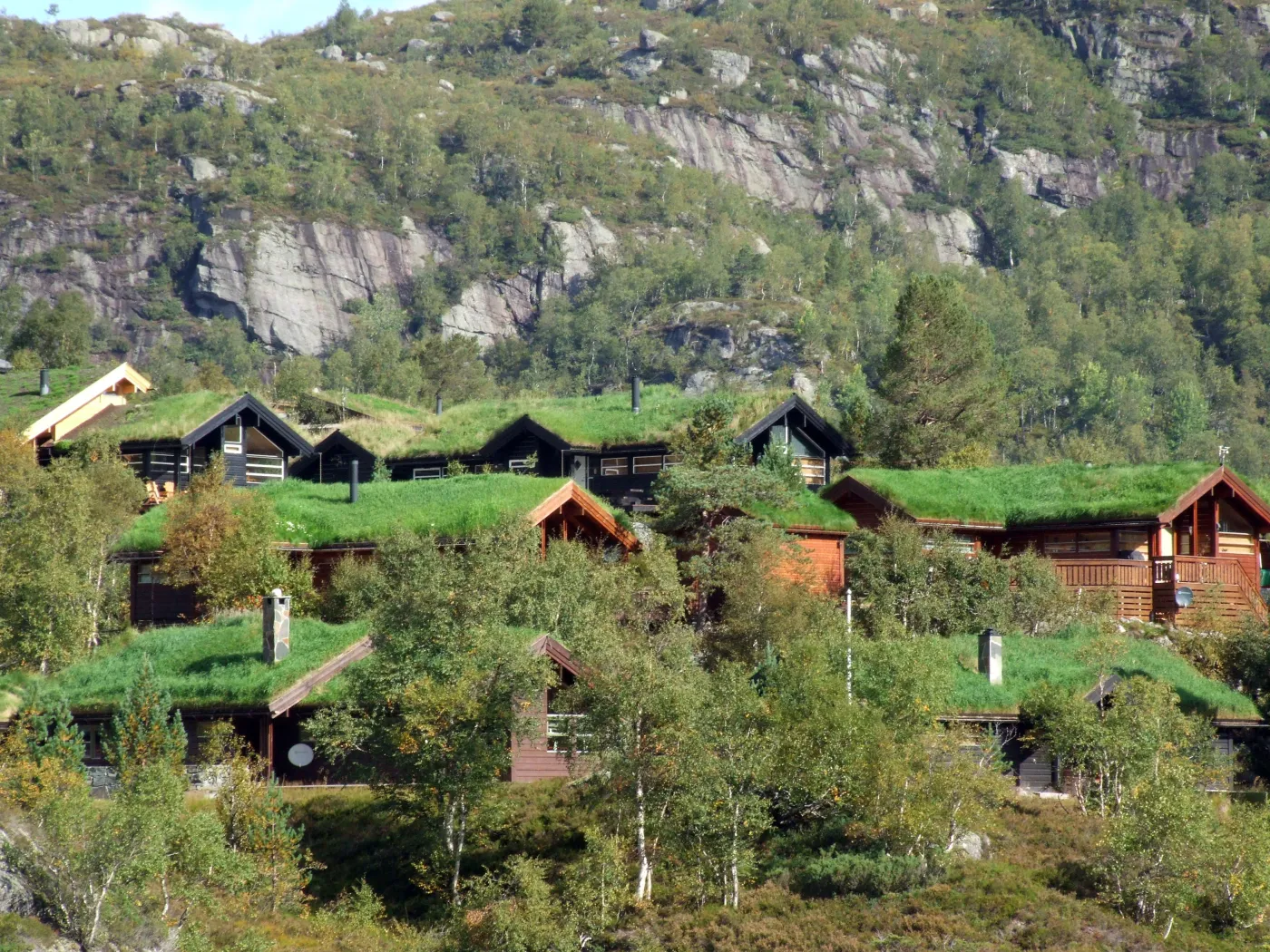 6805505-norwegia.jpg