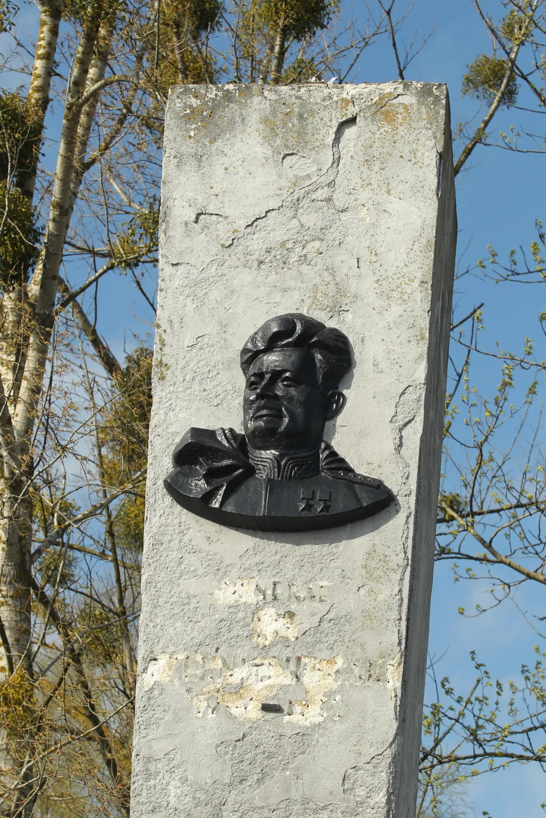 7694359-pomnik-generala-iwana-czernichowskiego.jpg