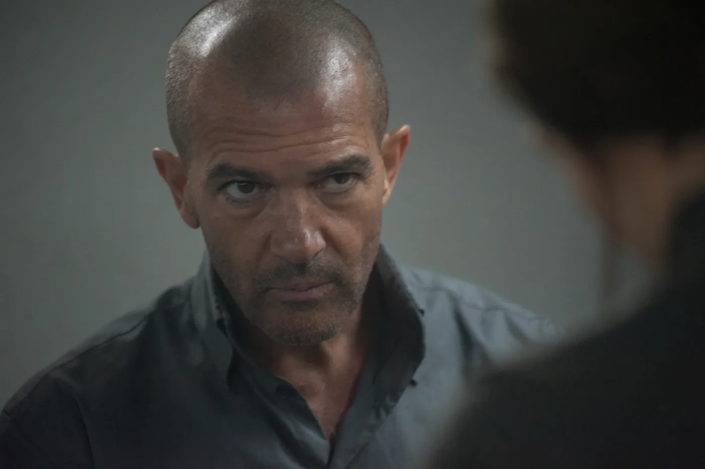 Łysy Banderas chciałby być jak "Mad Max" [ZDJĘCIA]