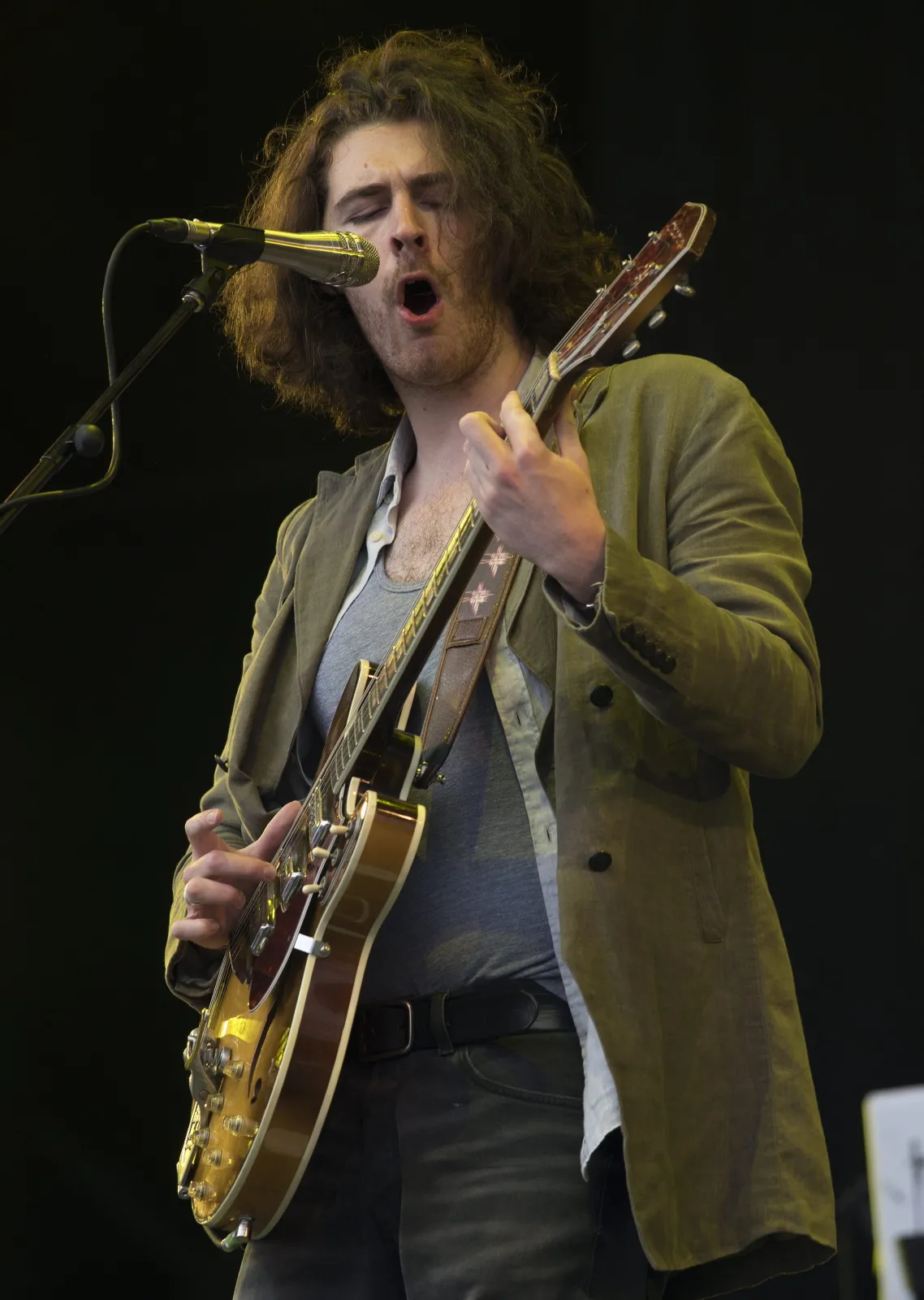 7924321-hozier.jpg