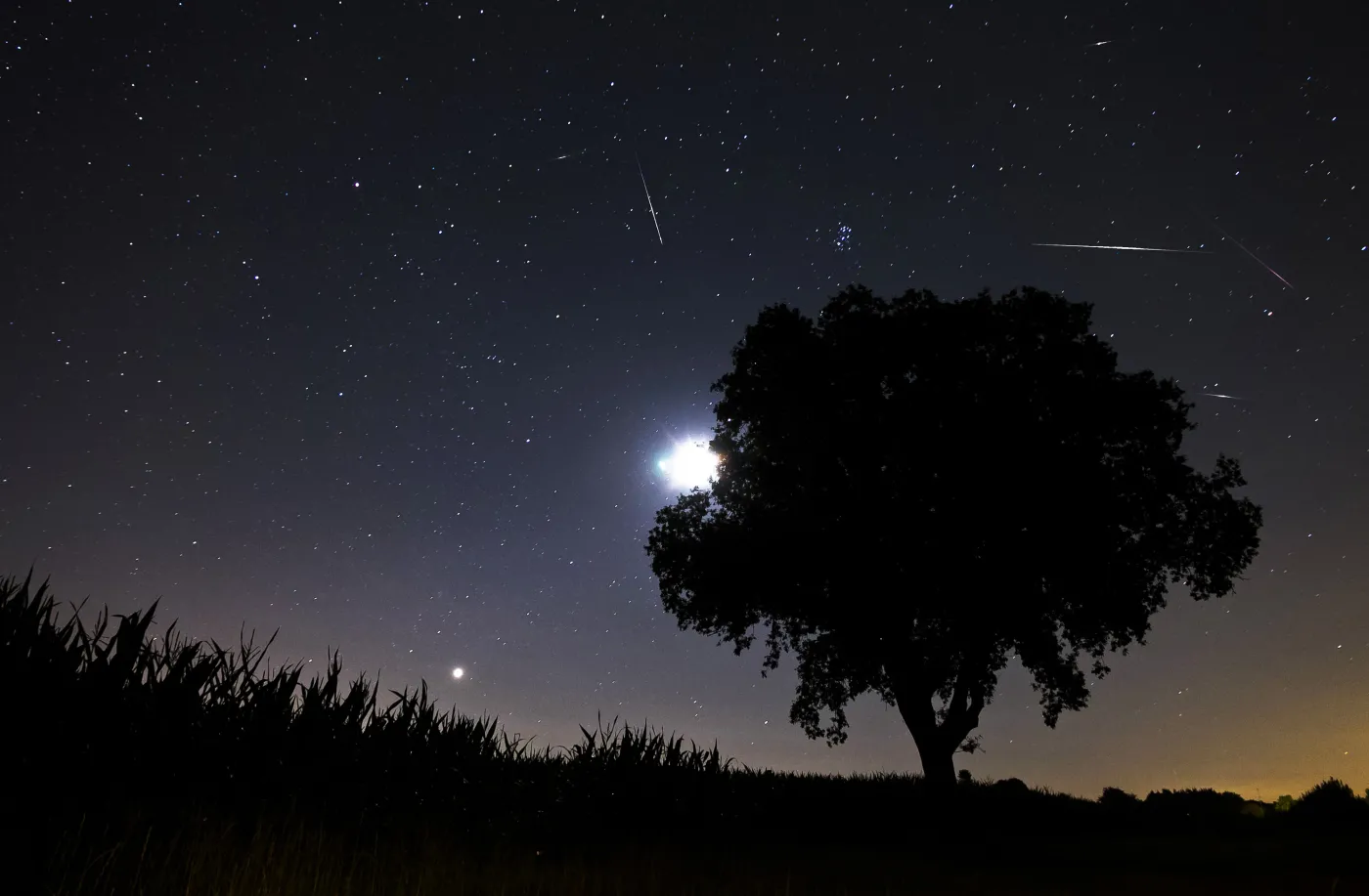 Spójrz w niebo! Dziś spadają gwiazdy. Kiedy oglądać perseidy?
