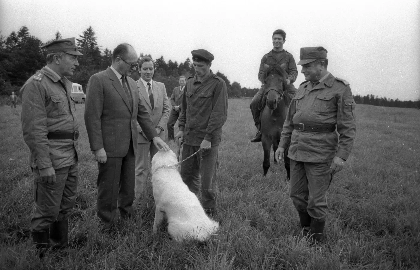 8391339-i-sekretarz-kc-pzpr-wojciech-jaruzelski.jpg