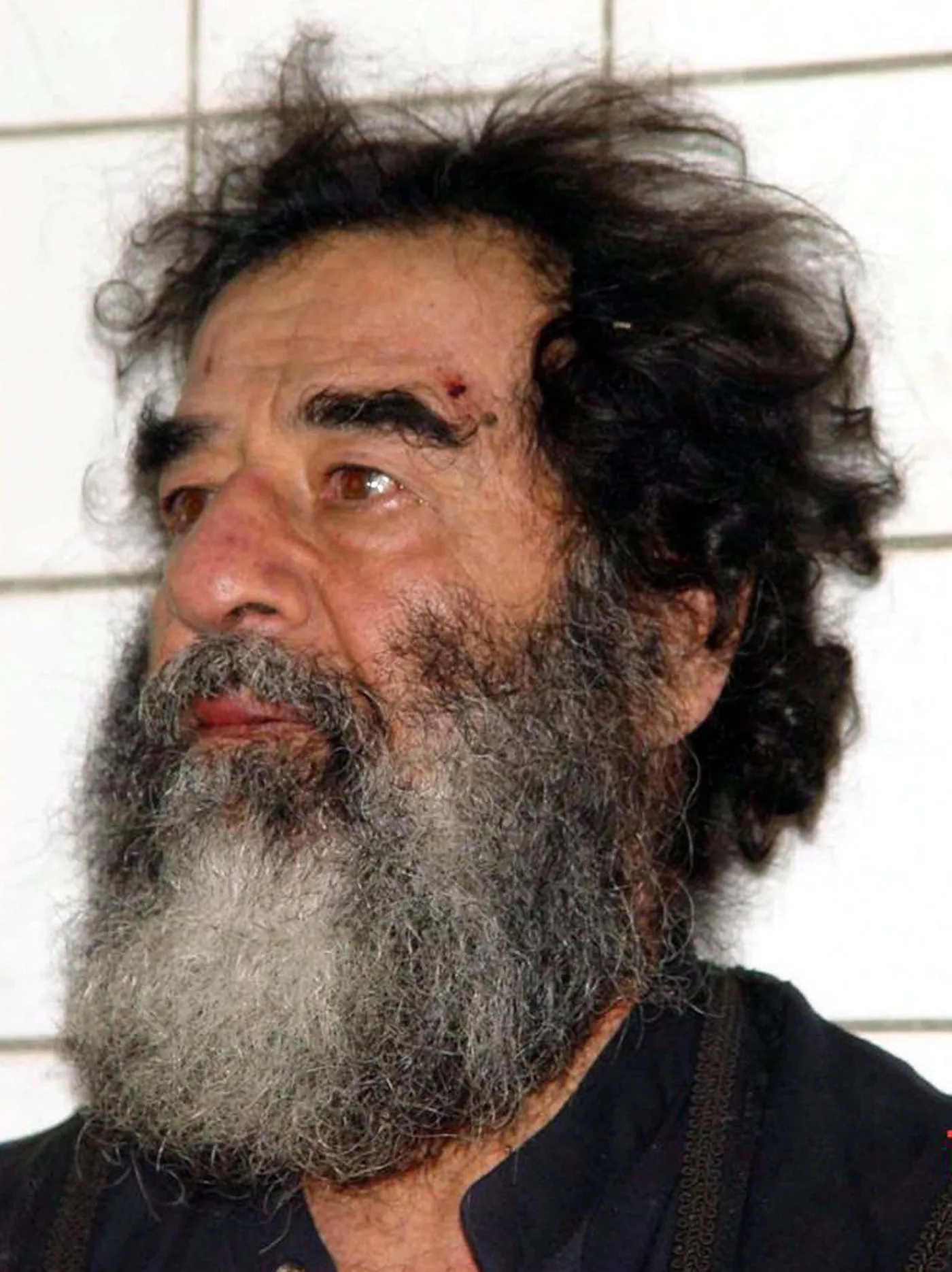 Saddam Husajn odnaleziony w wykopanej kryjówce