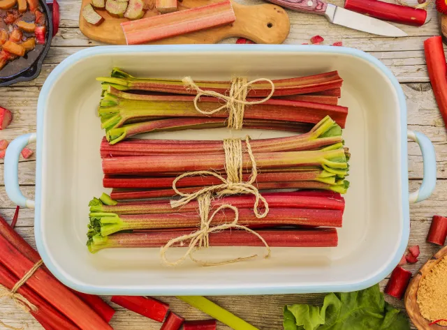 Rabarbar nowym lekiem na raka? Obiecujące wyniki badań