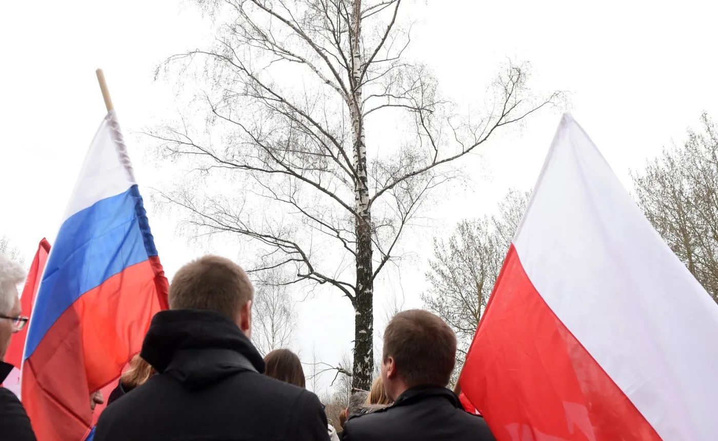 Brzoza w miejscu katastrofy polskiego samolotu rządowego pod Smoleńskiem