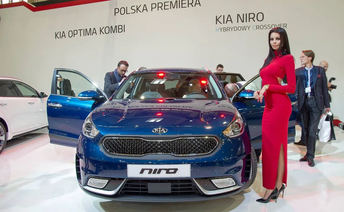8923351-kia-niro.jpg