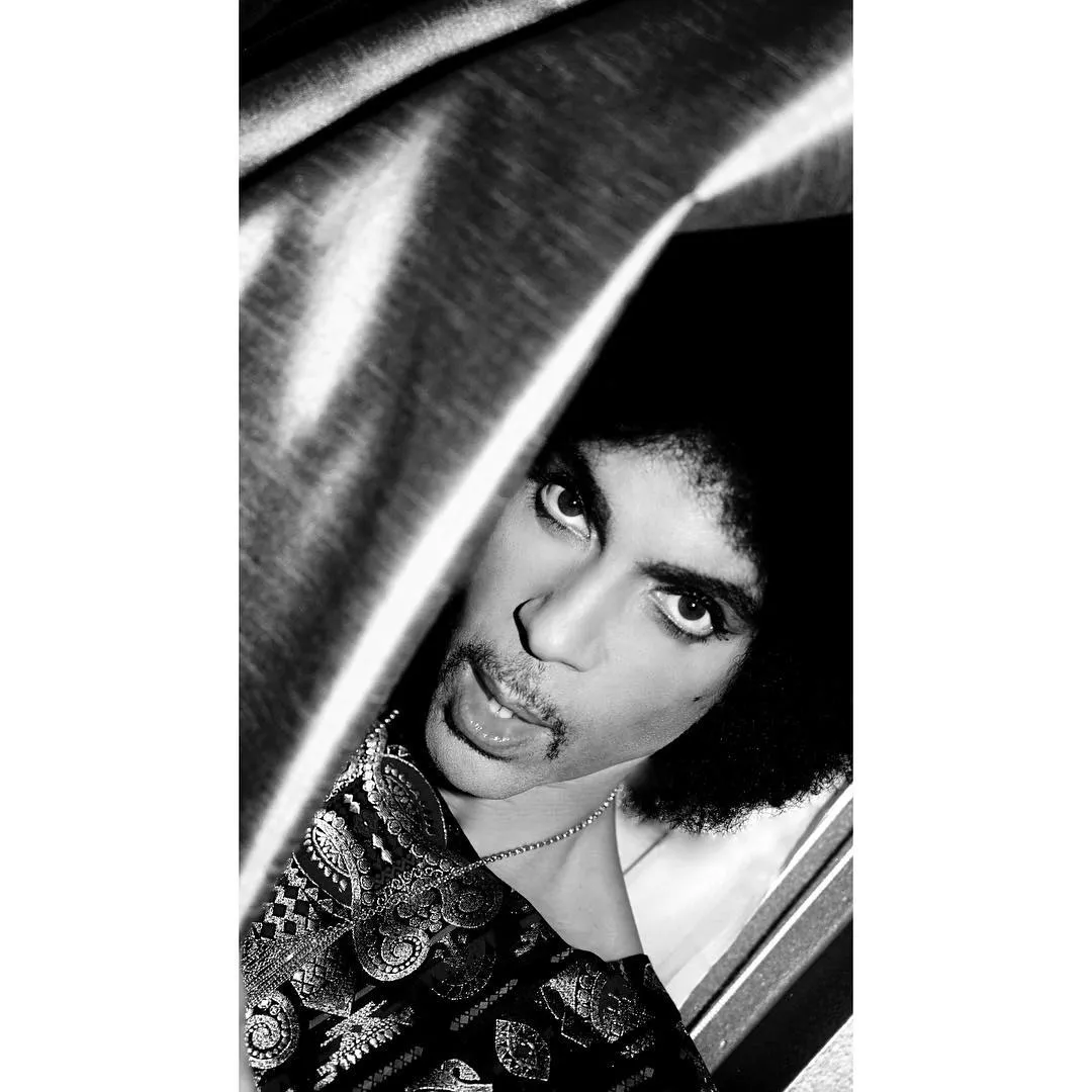 8973654-prince.jpg