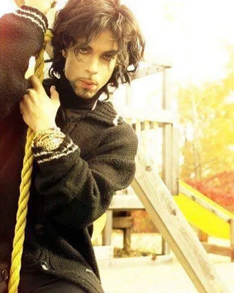 8973761-prince.jpg