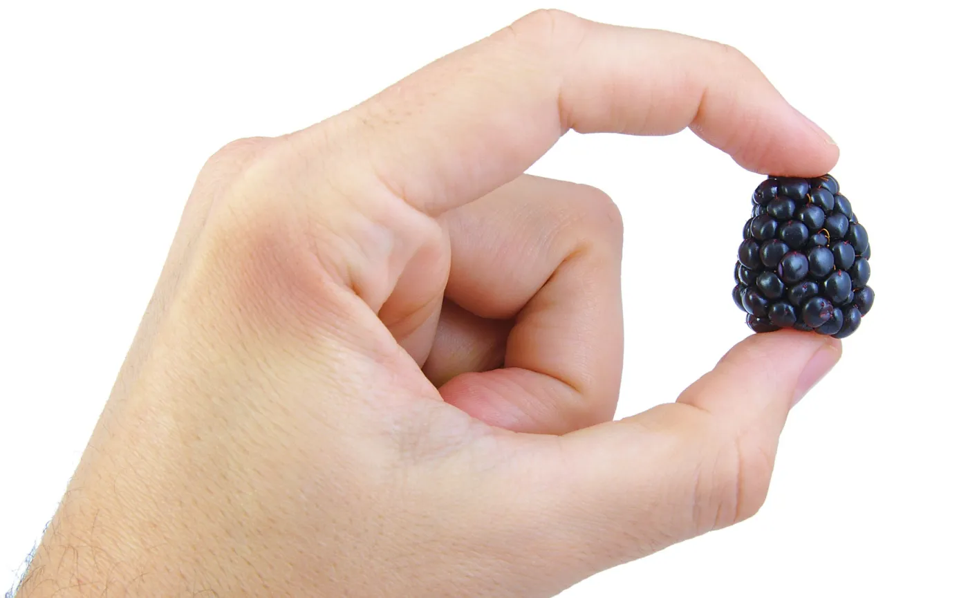 Jeżyny zamiast Viagry? Uczeni mówią: tak!