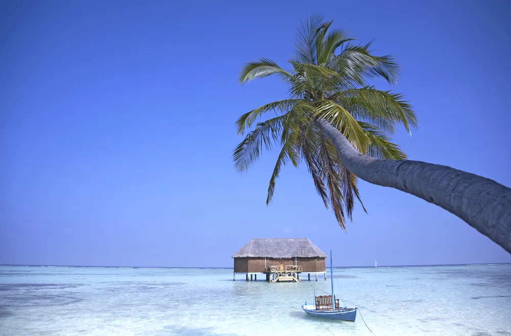 5131039-malediwy.jpg