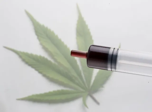 Rzecznik praw obywatelskich kolejny raz zwraca uwagę na problem z dostępem do medycznej marihuany