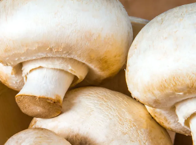 Dietetyk: Grzyby działają antynowotworowo, nawet pieczarki