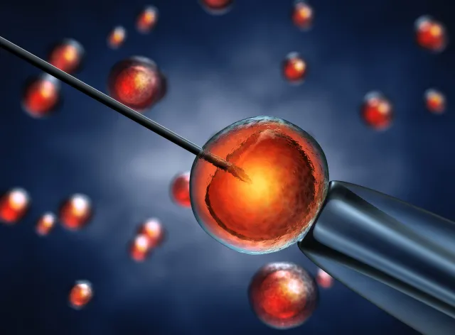 Wenderlich: W sprawie in vitro jasność wygra nad ciemnością