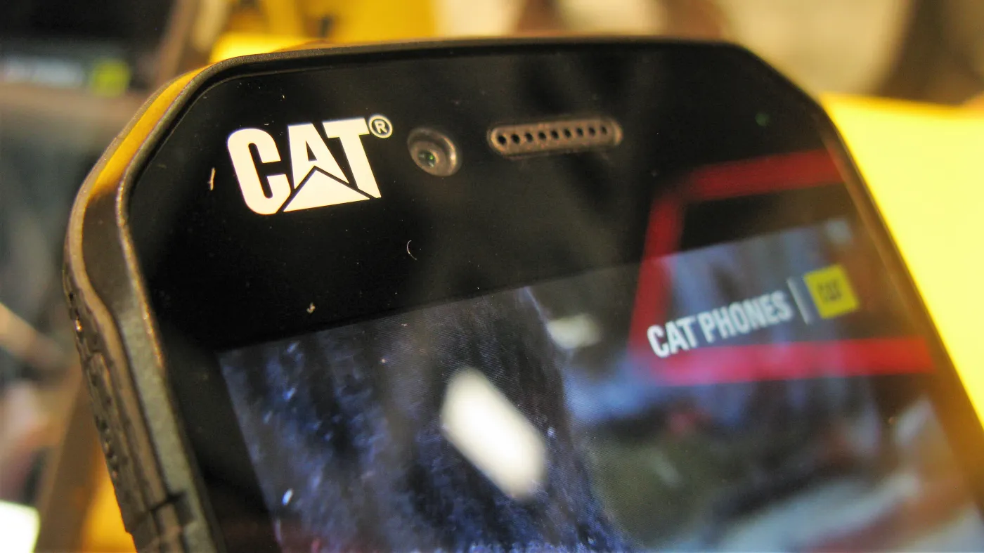 10410320-cat-s41.jpg
