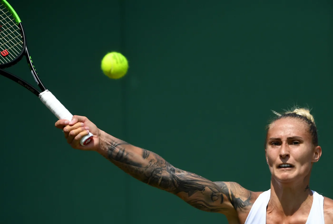 10288182-polona-hercog-najbardziej-wytatuowana.jpg
