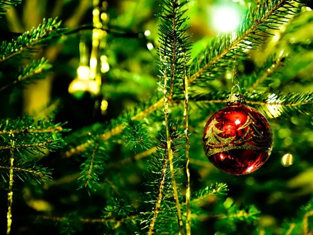 Politycy składają życzenia z okazji Świąt Bożego Narodzenia. Tusk: Miłości w rodzinie i nadziei w Ojczyźnie