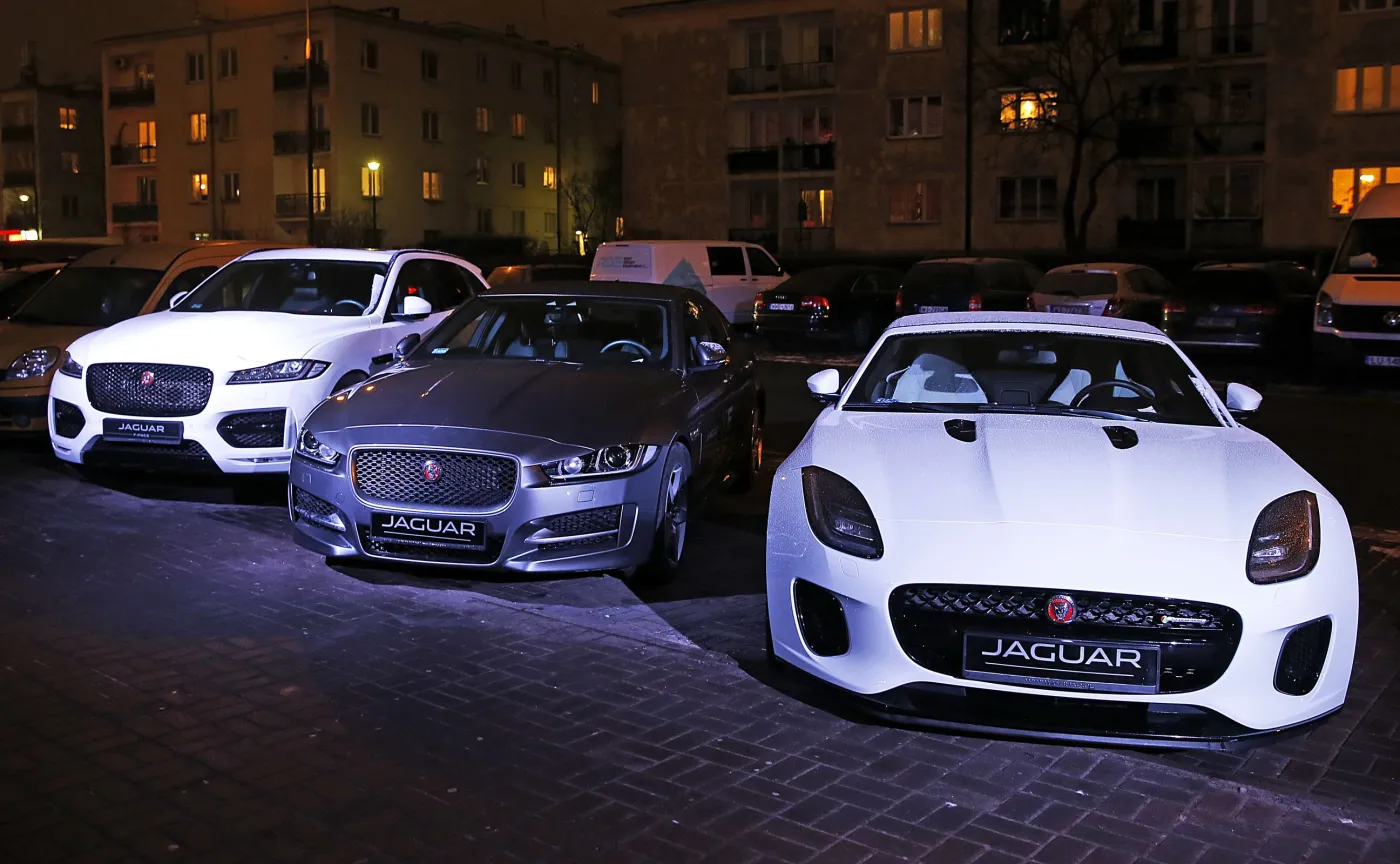 10708627-jaguar.jpg