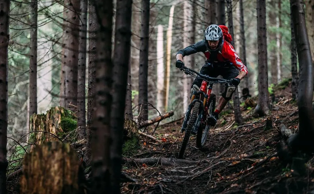 Najlepsze miejsca w Europie na rower jesienią i zimą. Gdzie uciec przed chłodem? Oto LISTA MIEJSC