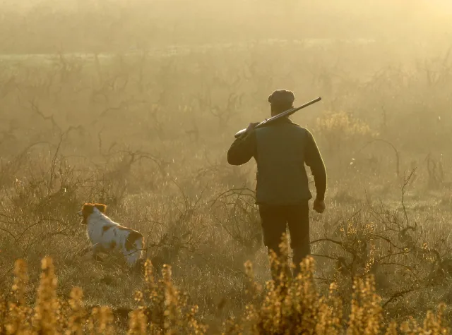 Ciało rowerzysty przy drodze pod Wągrowcem. Policja: Mógł zostać przypadkowo postrzelony przez myśliwego