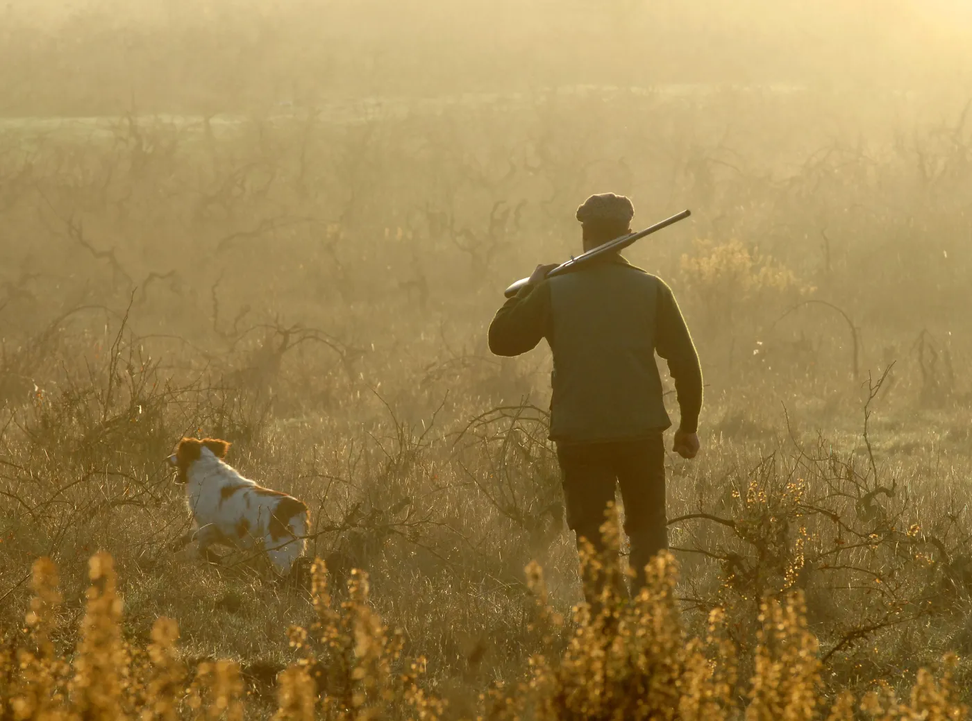 Niemcy: Postrzelony przez psa myśliwy stracił pozwolenie na broń