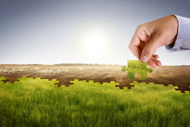 Polskie "tak, ale". Zadbamy o klimat, jeśli Unia nam dopłaci