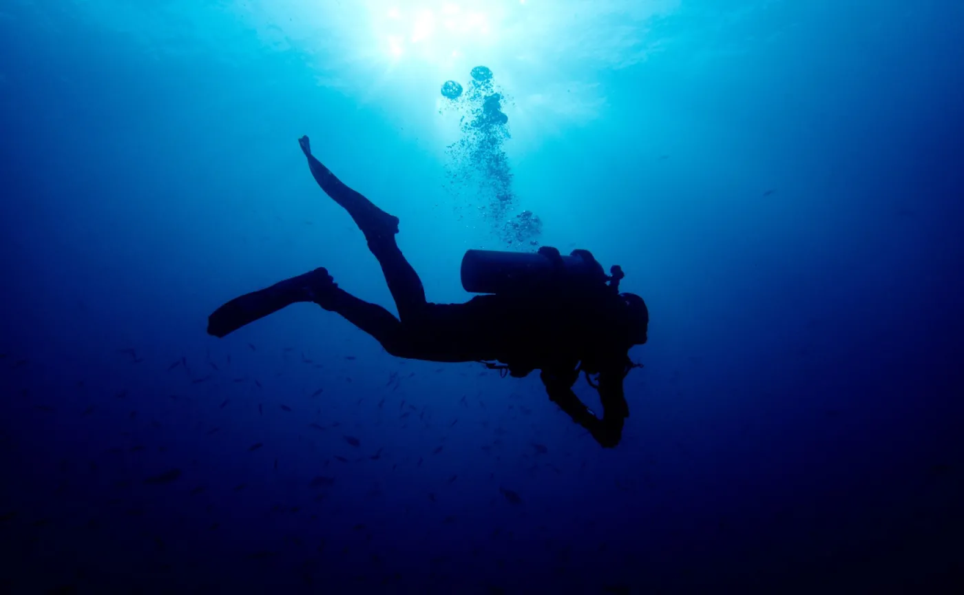 Wydobyte zwłoki z wraku "Wilhelma Gustloffa" to poszukiwany płetwonurek