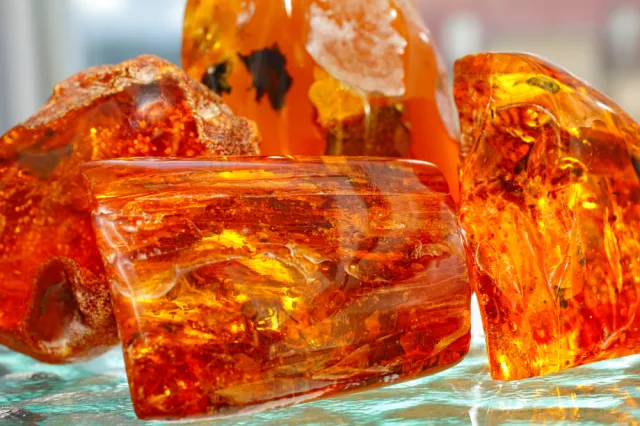 Na terenie przekopu Mierzei prawdopodobnie znajduje się  6,9 ton bursztynu [WIDEO]