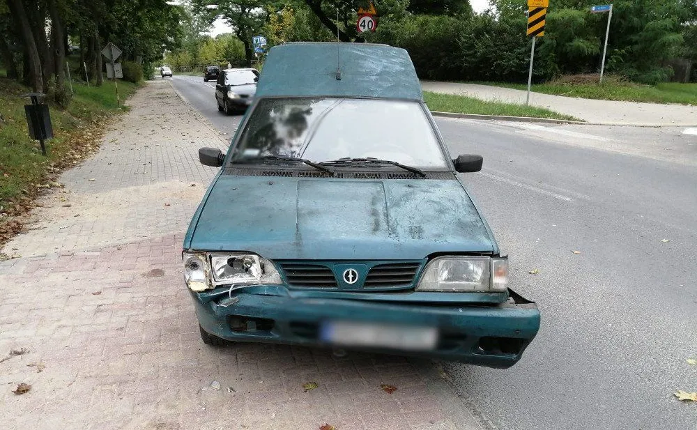 polonez-28199713.jpg