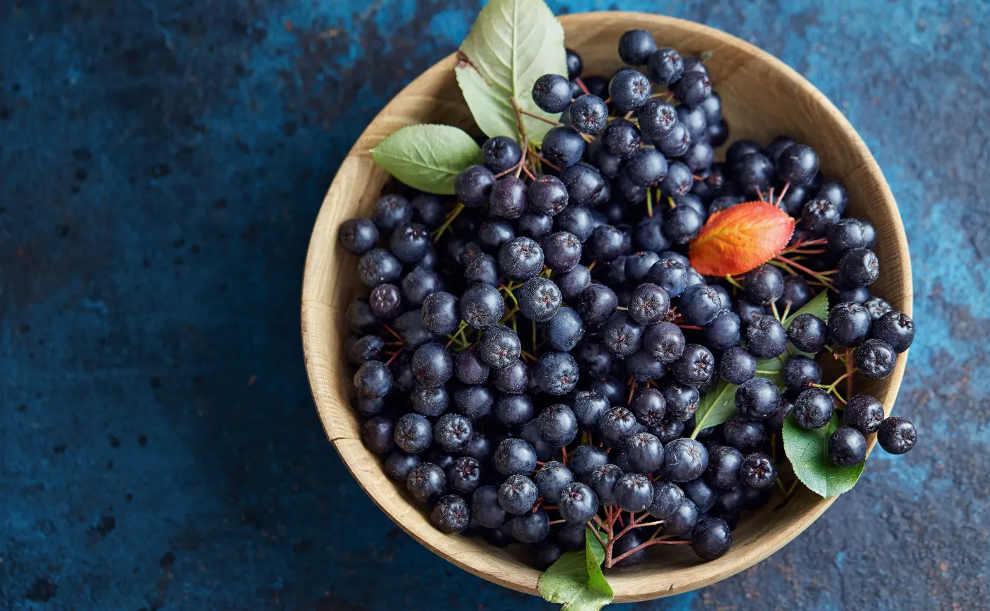 ARONIA wzmacnia serce, chroni oczy, działa antynowotworowo. Jak ją jeść?