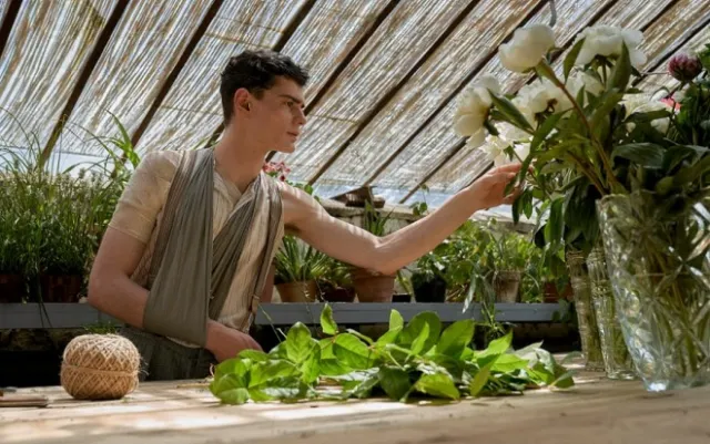 "Szarlatan" Agnieszki Holland  od dziś w kinach