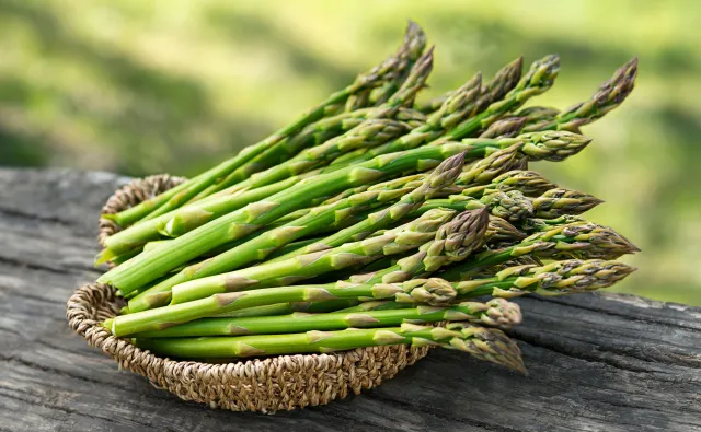 Zbiory szparagów zagrożone? Niemcy martwią się, że pracownicy z Polski nie dotrą